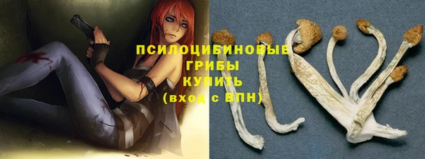 стафф Бронницы