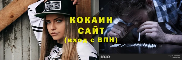 сатива Надым