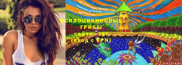 мдпв Навашино