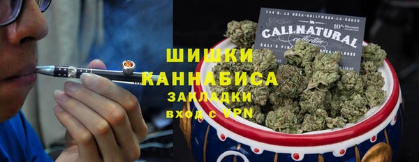 сатива Надым