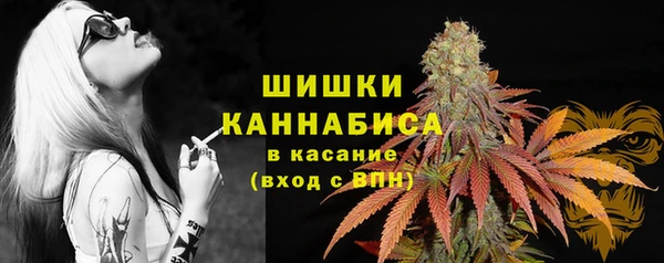 хмурый Наволоки