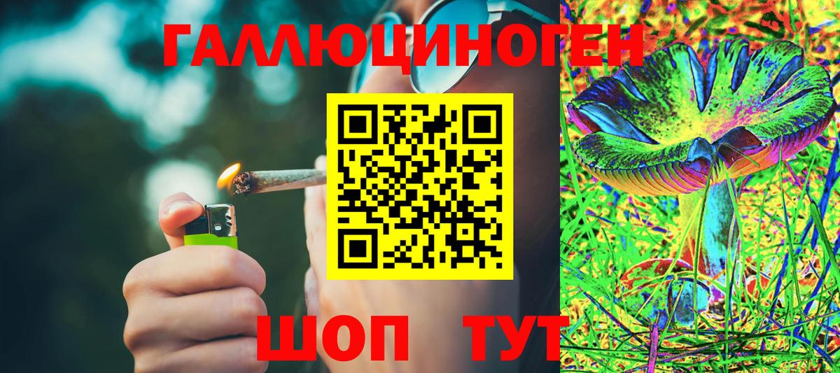 Черногорск  Псилоцибиновые грибы прущие грибы  Псилоцибиновые грибы Psilocybine cubensis  Вход с VPN 