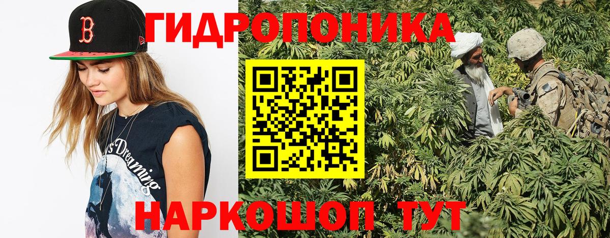 Шишки марихуана THC 21% Черногорск